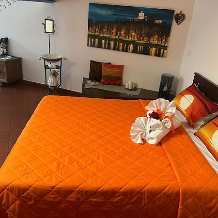 Historic Center Via Po Apartment Torino Eksteriør billede